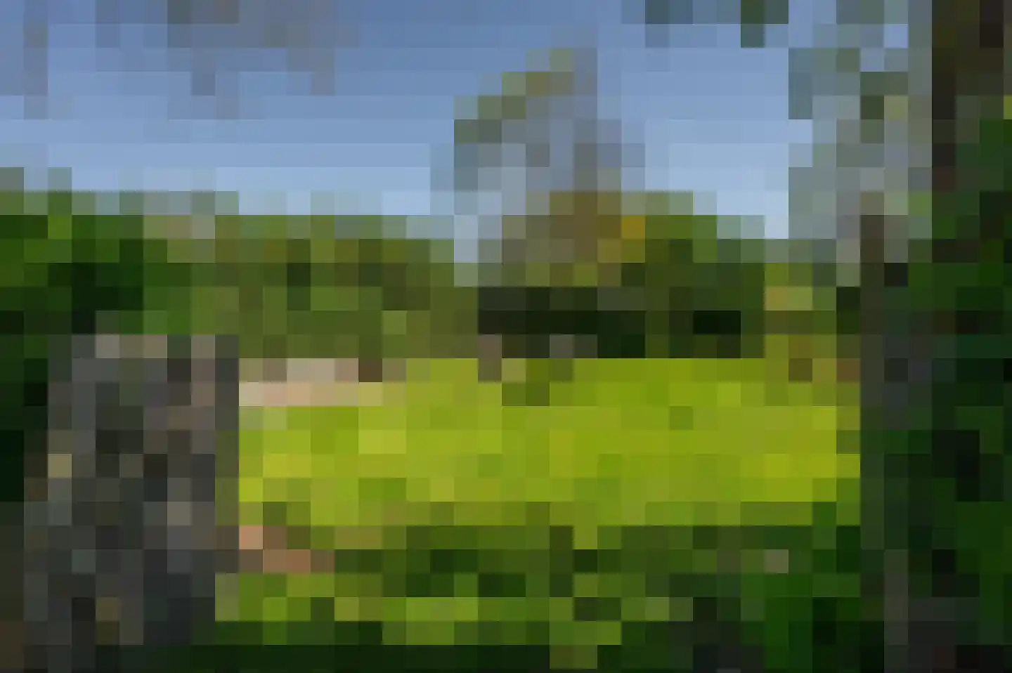 Krabbegatweg 2 Biervliet thumbnail 60