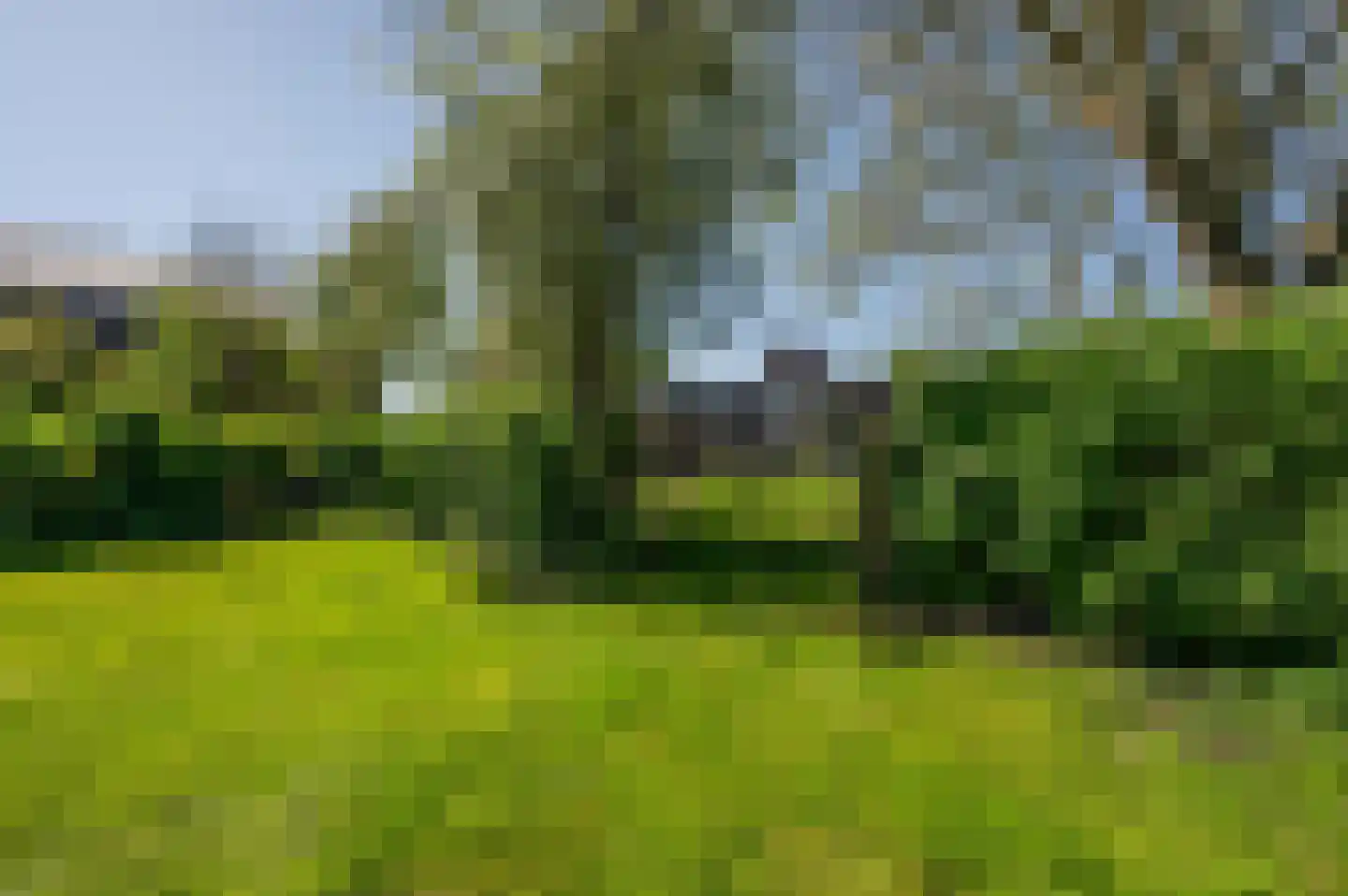 Krabbegatweg 2 Biervliet thumbnail 62