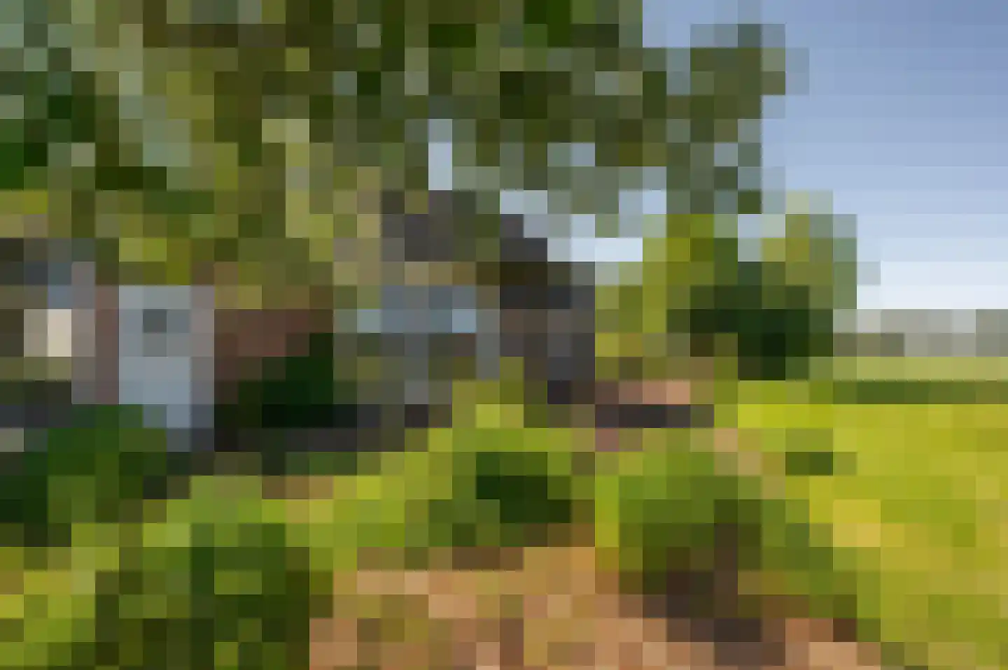 Krabbegatweg 2 Biervliet thumbnail 64