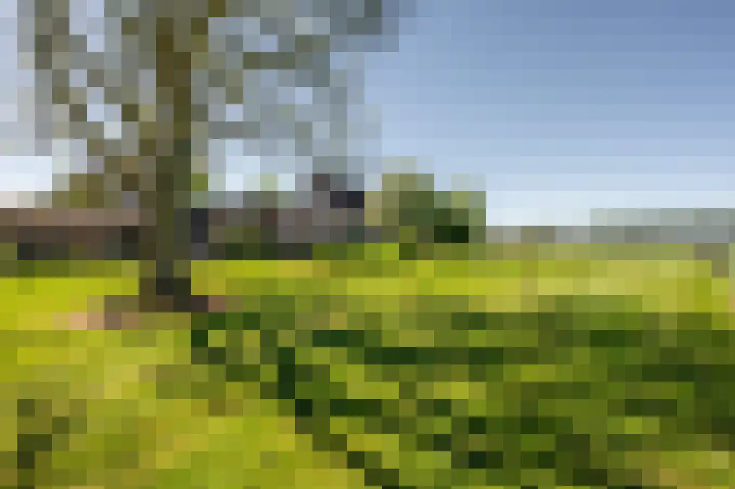 Krabbegatweg 2 Biervliet thumbnail 65