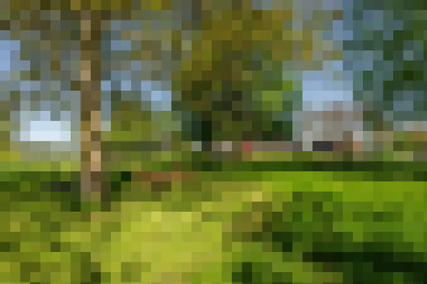 Krabbegatweg 2 Biervliet thumbnail 66