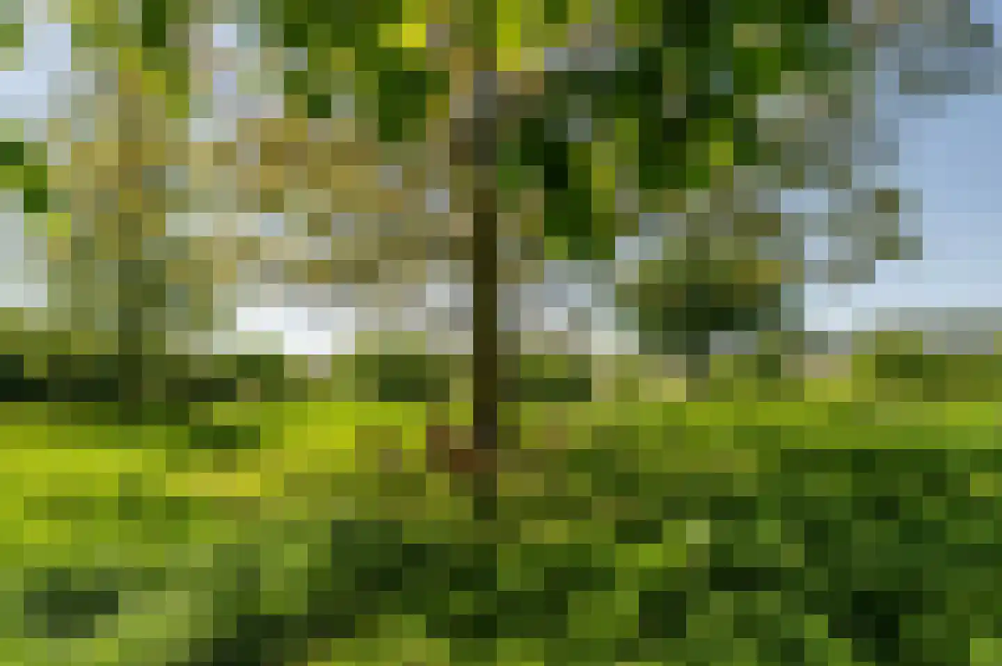 Krabbegatweg 2 Biervliet thumbnail 67