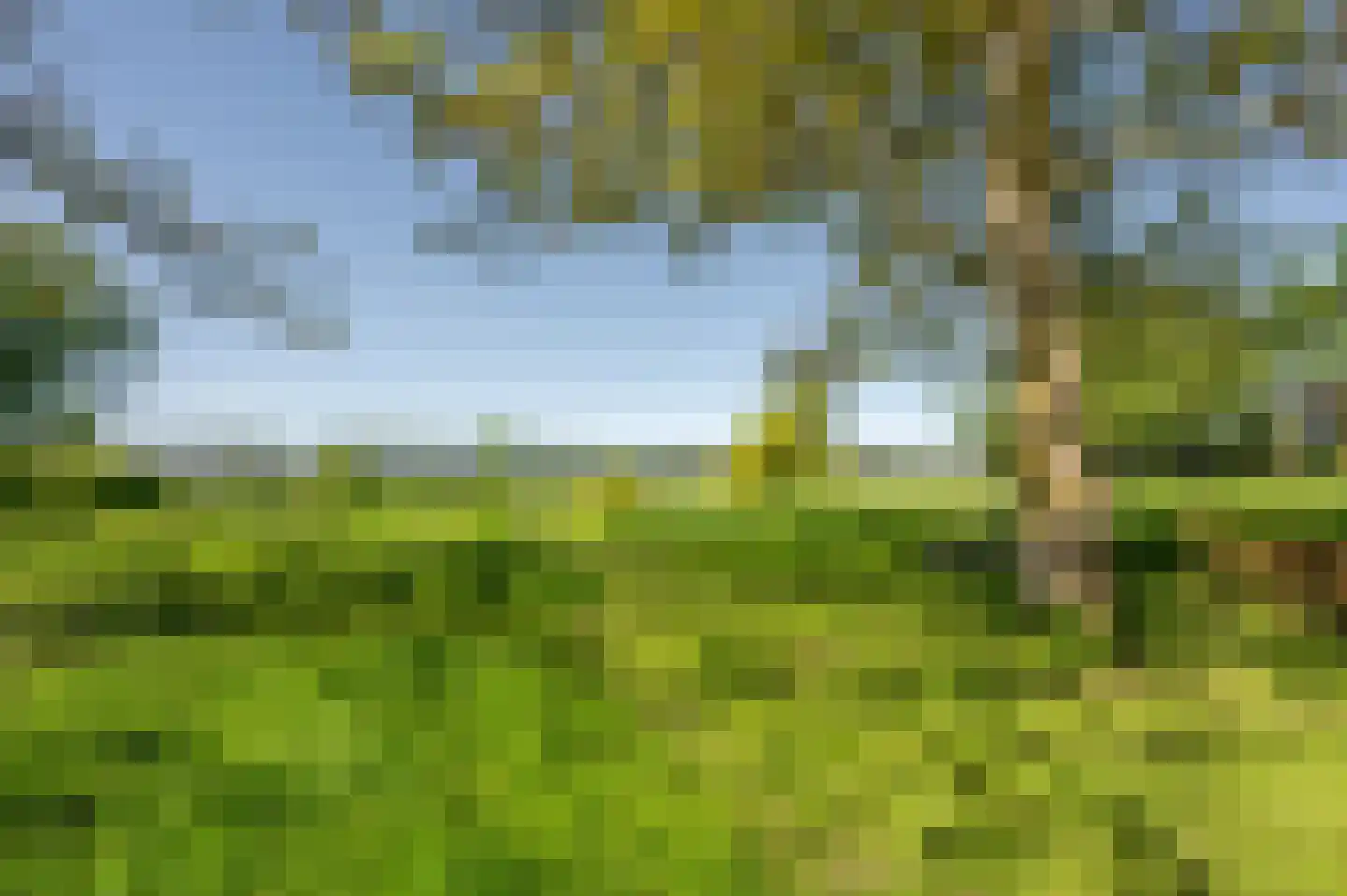 Krabbegatweg 2 Biervliet thumbnail 68