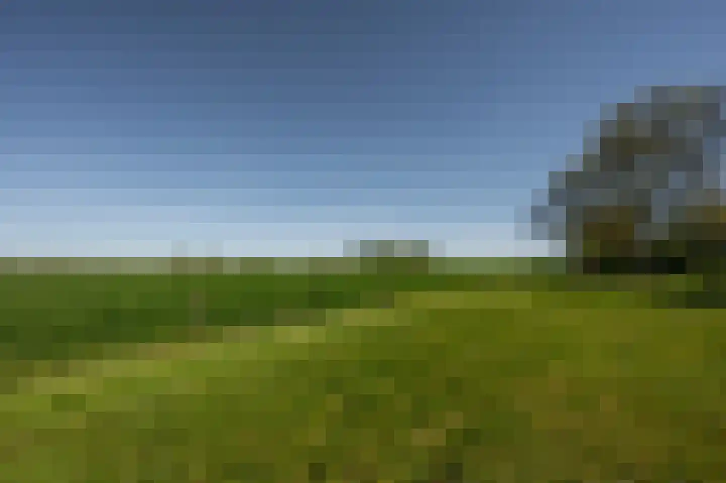 Krabbegatweg 2 Biervliet thumbnail 70