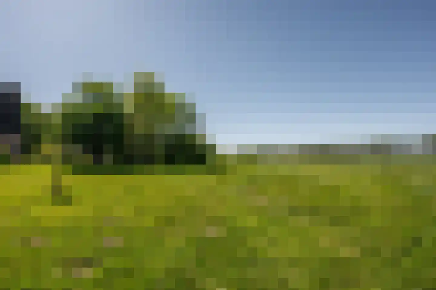 Krabbegatweg 2 Biervliet thumbnail 71