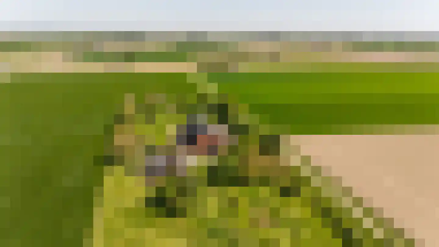 Krabbegatweg 2 Biervliet thumbnail 77