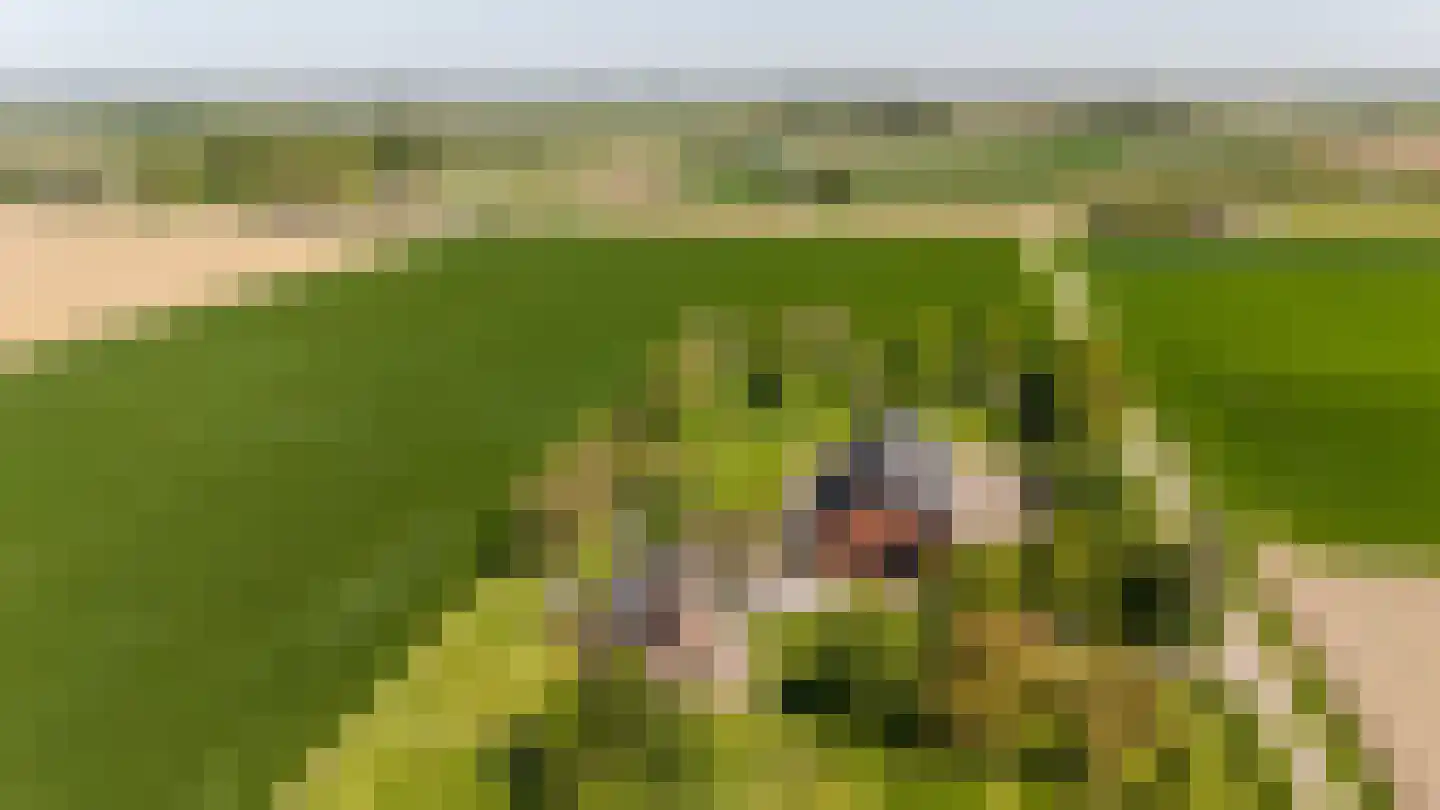 Krabbegatweg 2 Biervliet thumbnail 78