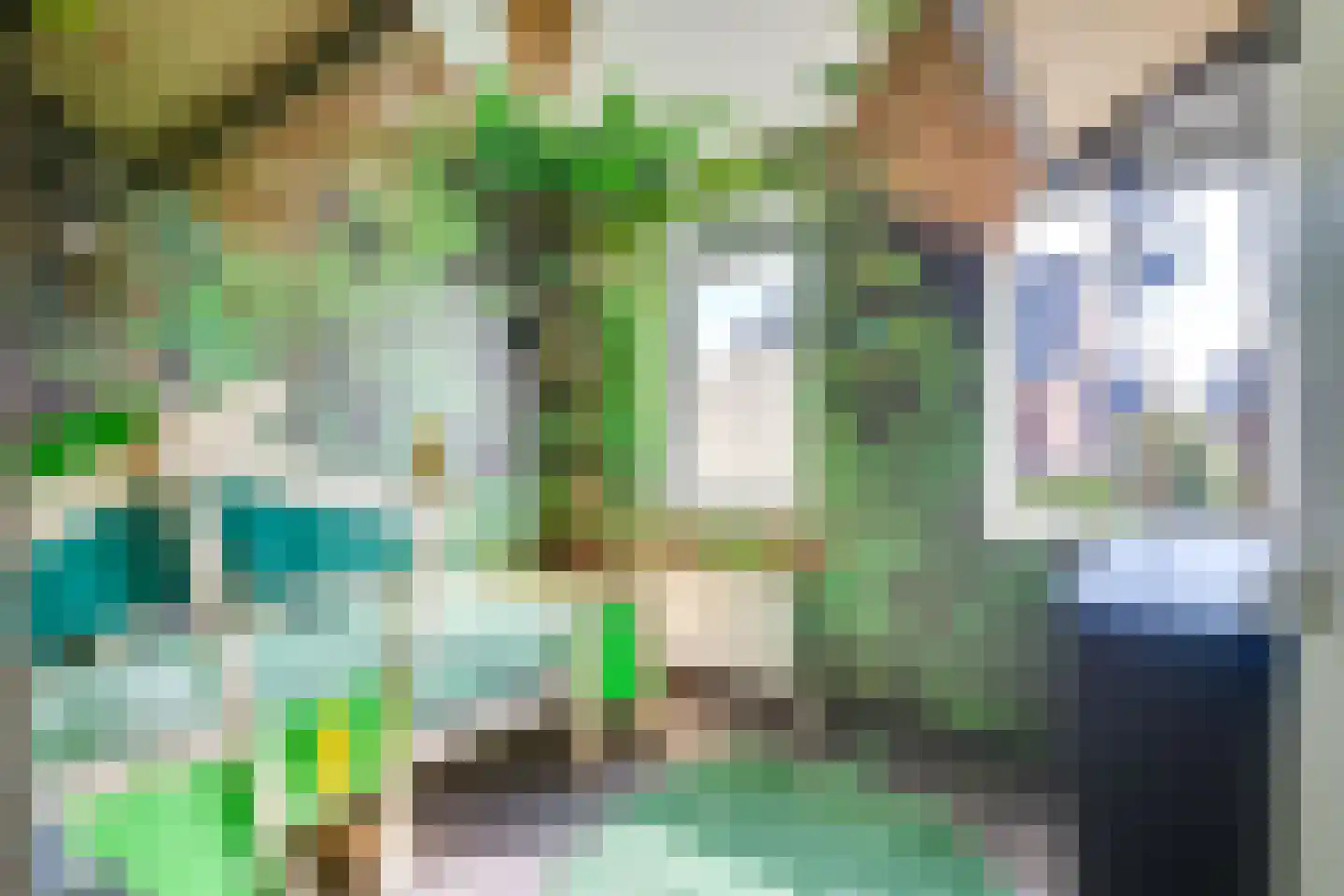 Krabbelaar 14 Uden thumbnail 19