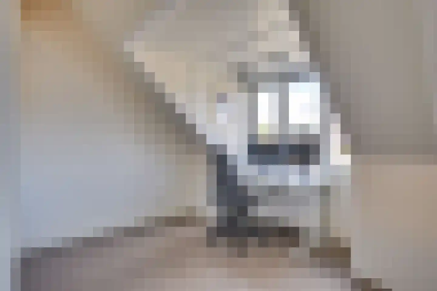 Krabbelaar 14 Uden thumbnail 26