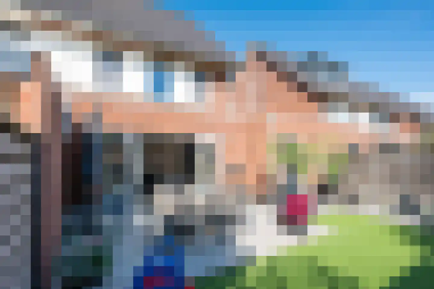 Krabbelaar 14 Uden thumbnail 31