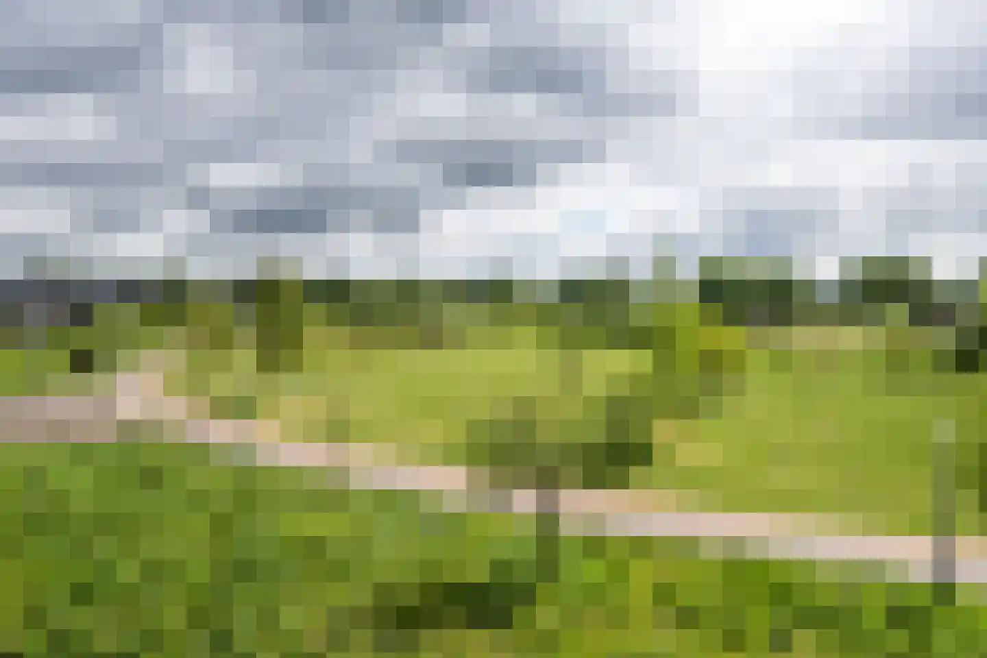 Krabbelaar 14 Uden thumbnail 34
