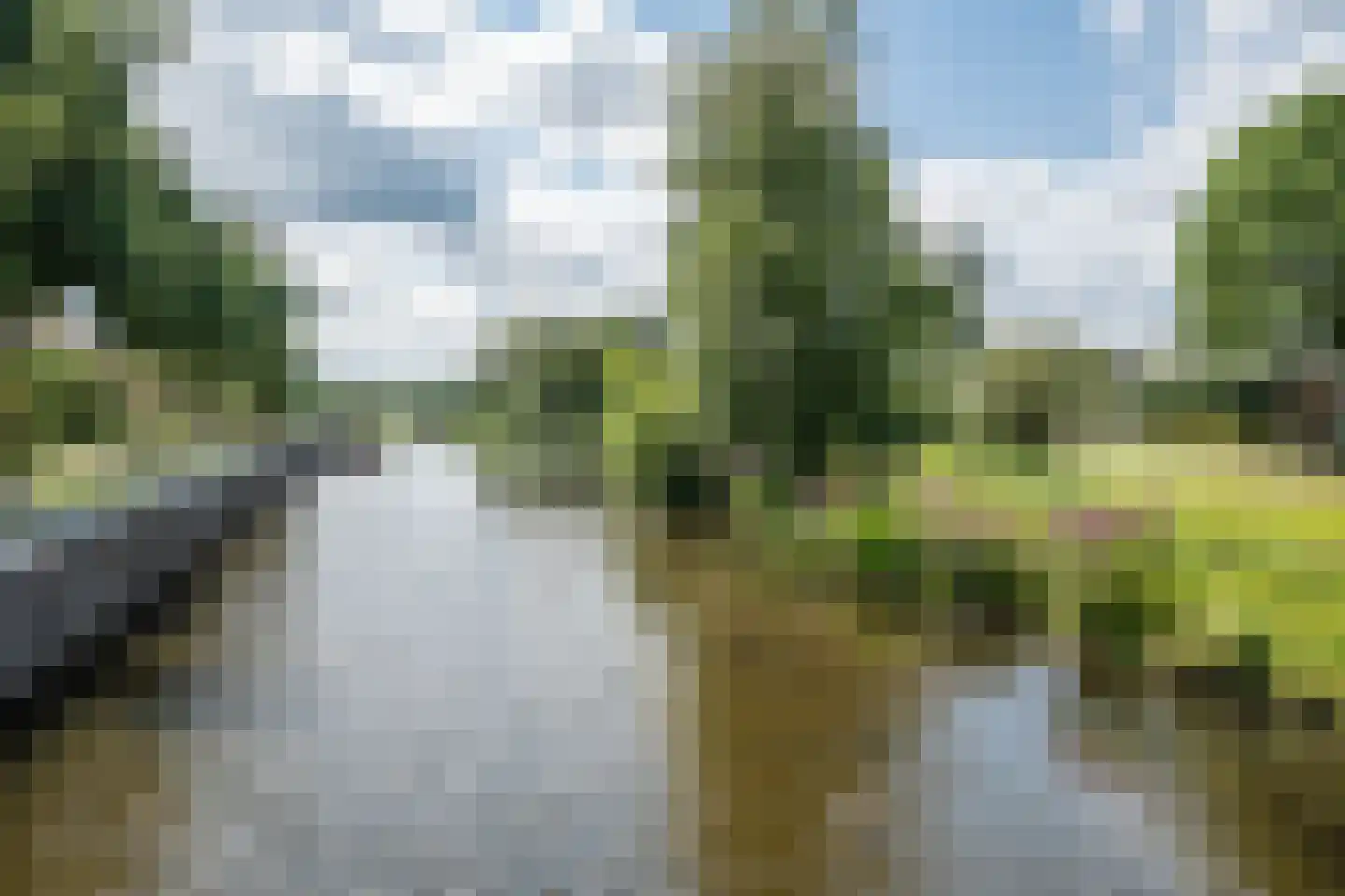 Krabbelaar 14 Uden thumbnail 35