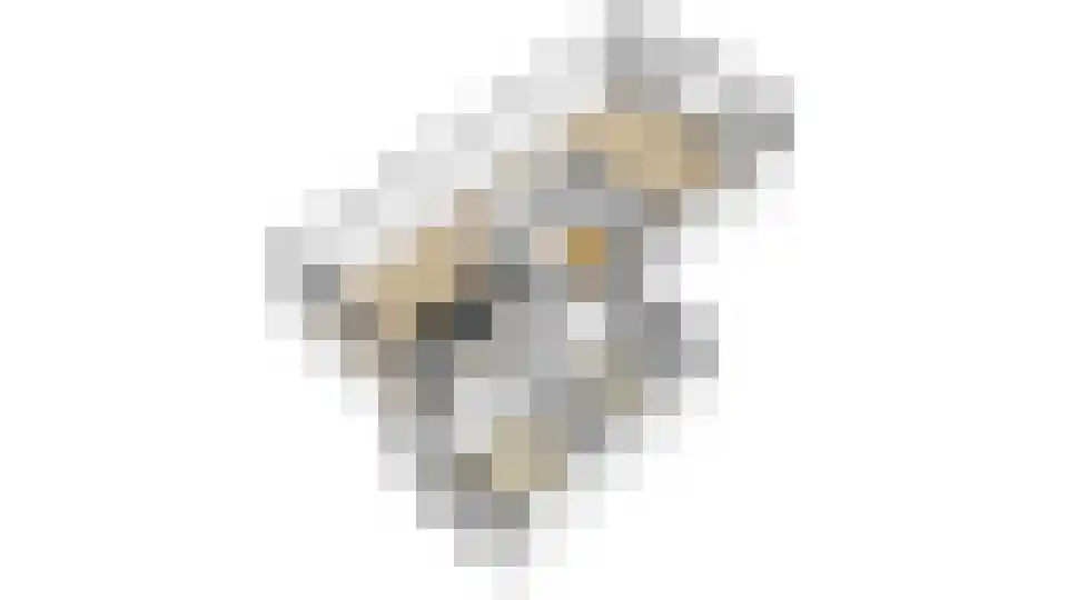 Krabbelaar 14 Uden thumbnail 37