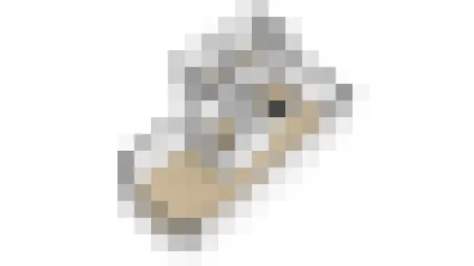 Krabbelaar 14 Uden thumbnail 38