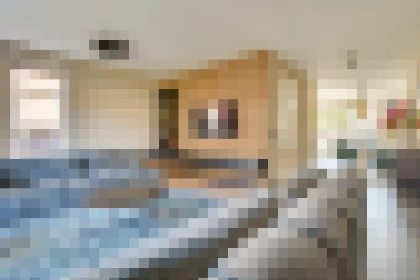 Krabbelaar 14 Uden thumbnail 7