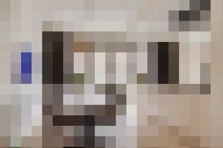 Krabbelaar 16 Uden thumbnail 17