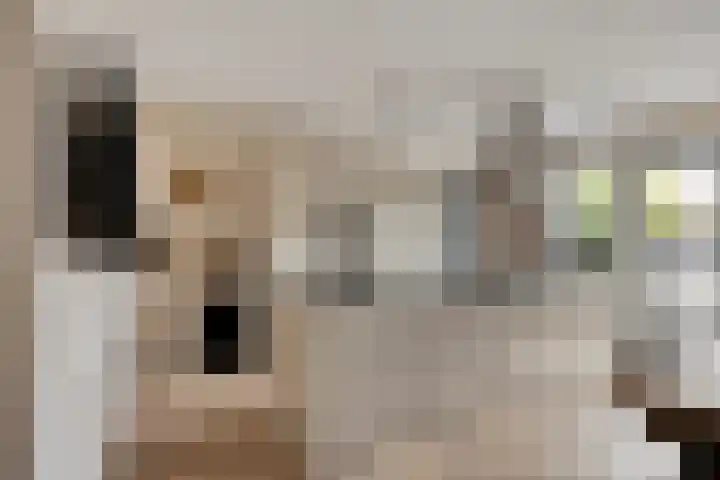 Krabbelaar 3 Uden thumbnail 10