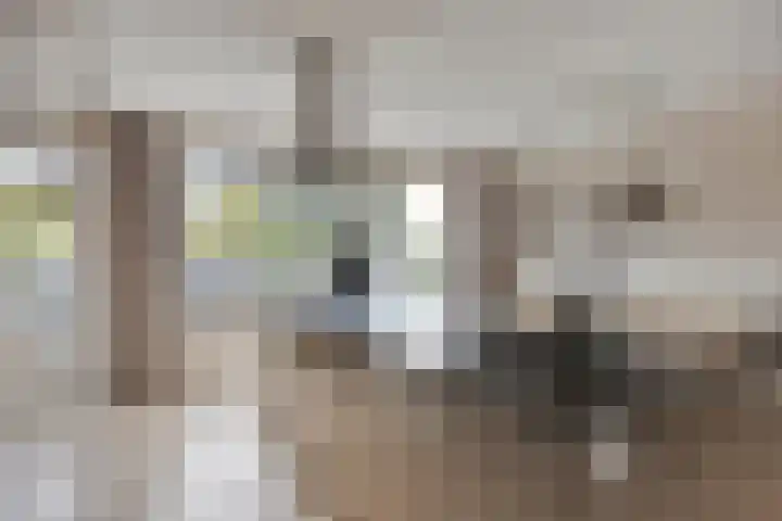 Krabbelaar 3 Uden thumbnail 11