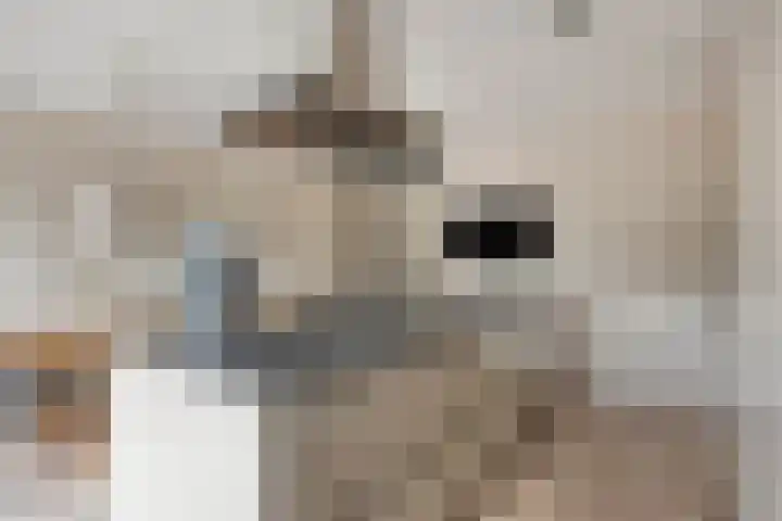 Krabbelaar 3 Uden thumbnail 12