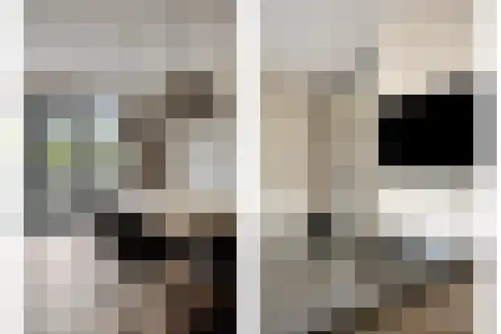 Krabbelaar 3 Uden thumbnail 13