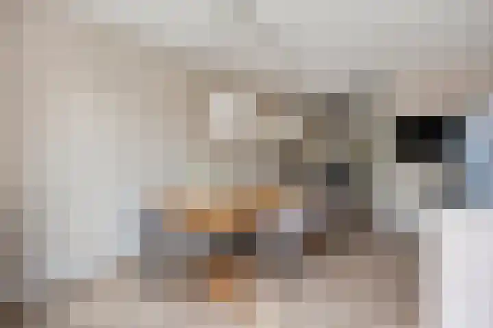 Krabbelaar 3 Uden thumbnail 14
