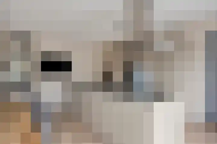 Krabbelaar 3 Uden thumbnail 15