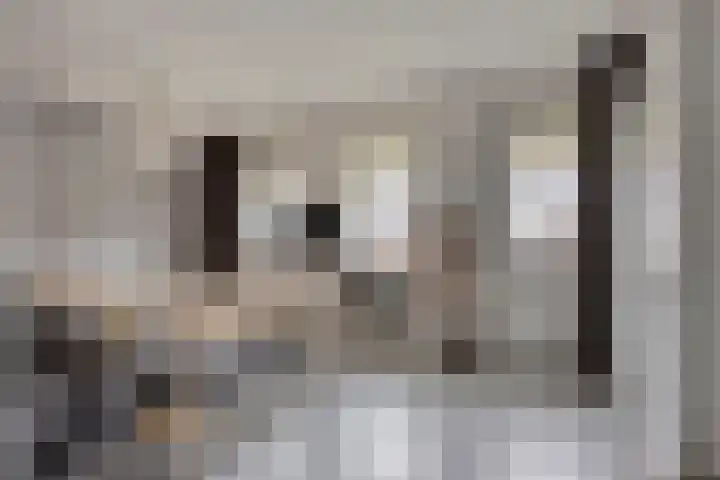 Krabbelaar 3 Uden thumbnail 23