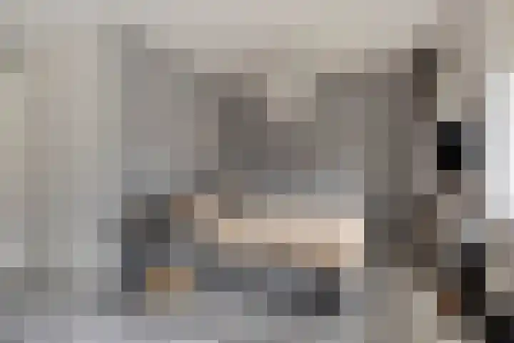Krabbelaar 3 Uden thumbnail 24