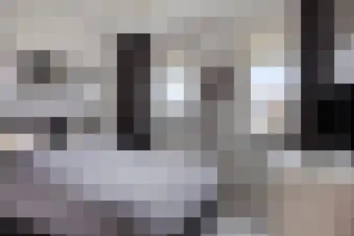Krabbelaar 3 Uden thumbnail 29
