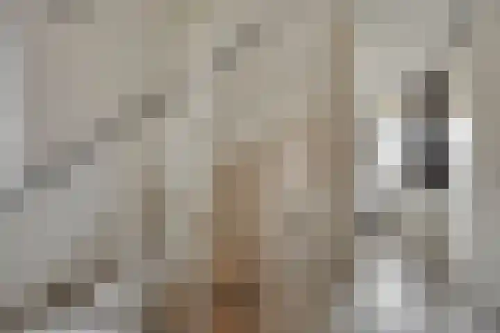 Krabbelaar 3 Uden thumbnail 31