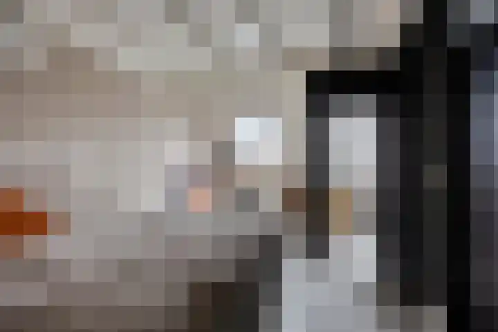 Krabbelaar 3 Uden thumbnail 34