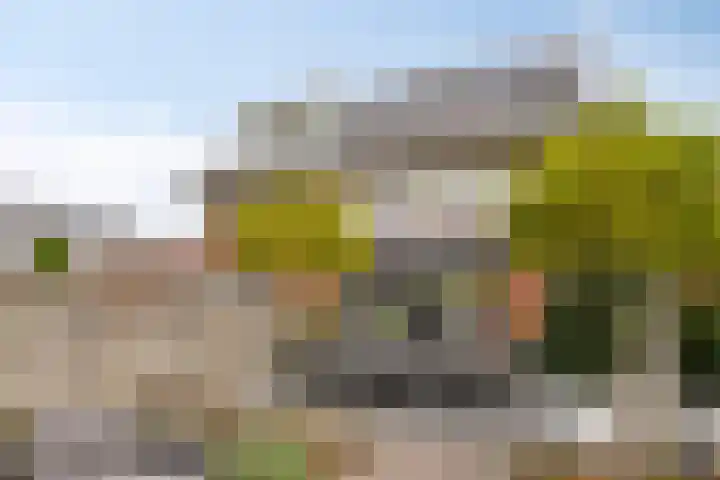 Krabbelaar 3 Uden thumbnail 39