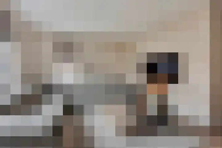 Krabbelaar 3 Uden thumbnail 4