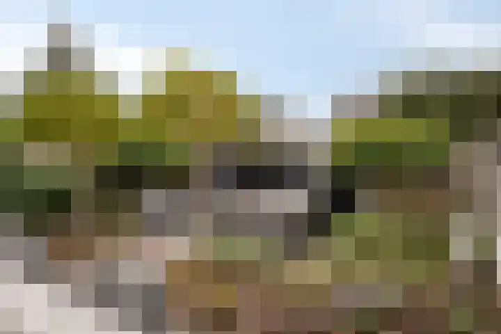 Krabbelaar 3 Uden thumbnail 40