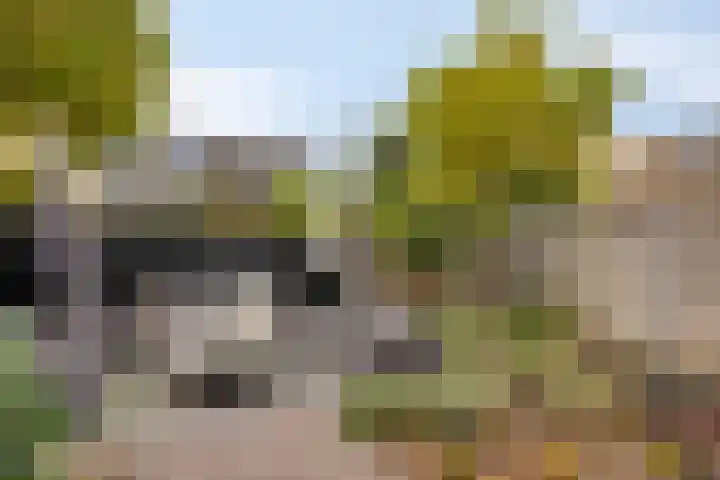 Krabbelaar 3 Uden thumbnail 41