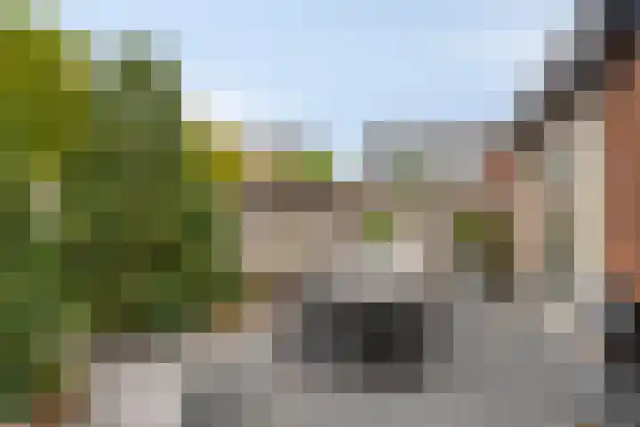 Krabbelaar 3 Uden thumbnail 42