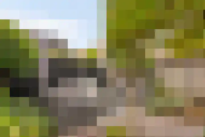 Krabbelaar 3 Uden thumbnail 43