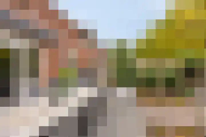 Krabbelaar 3 Uden thumbnail 44