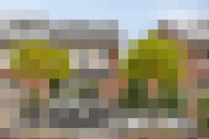 Krabbelaar 3 Uden thumbnail 45