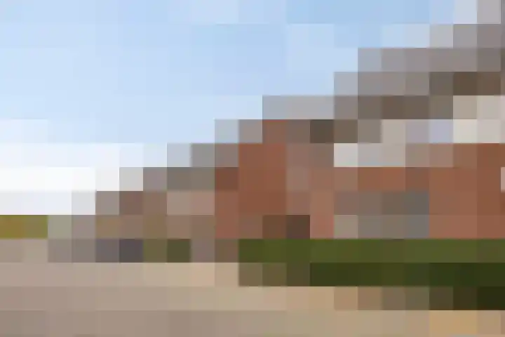 Krabbelaar 3 Uden thumbnail 47