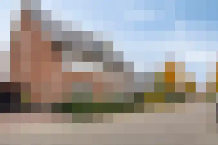 Krabbelaar 3 Uden thumbnail 48