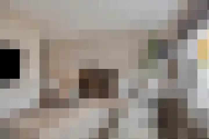 Krabbelaar 3 Uden thumbnail 5