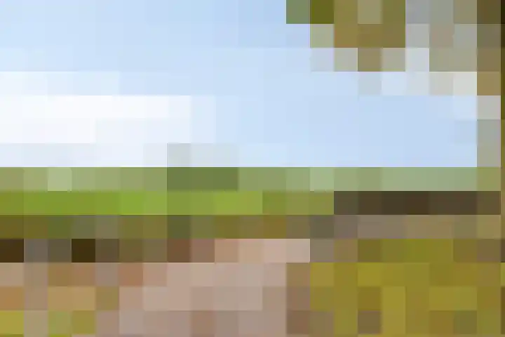 Krabbelaar 3 Uden thumbnail 50