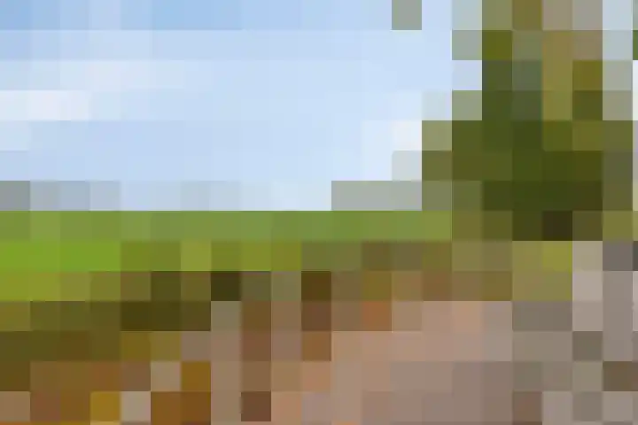 Krabbelaar 3 Uden thumbnail 51