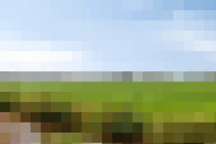 Krabbelaar 3 Uden thumbnail 52