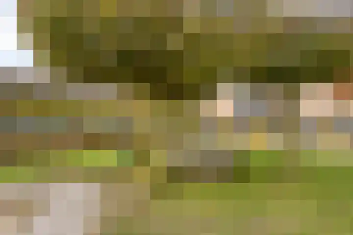 Krabbelaar 3 Uden thumbnail 55