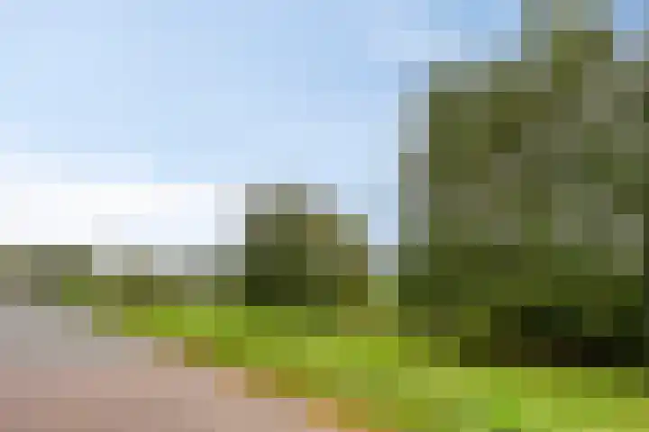 Krabbelaar 3 Uden thumbnail 56