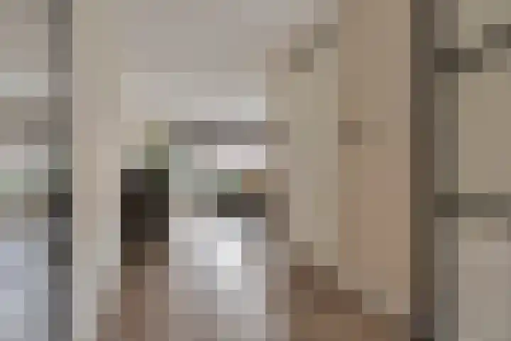Krabbelaar 3 Uden thumbnail 8