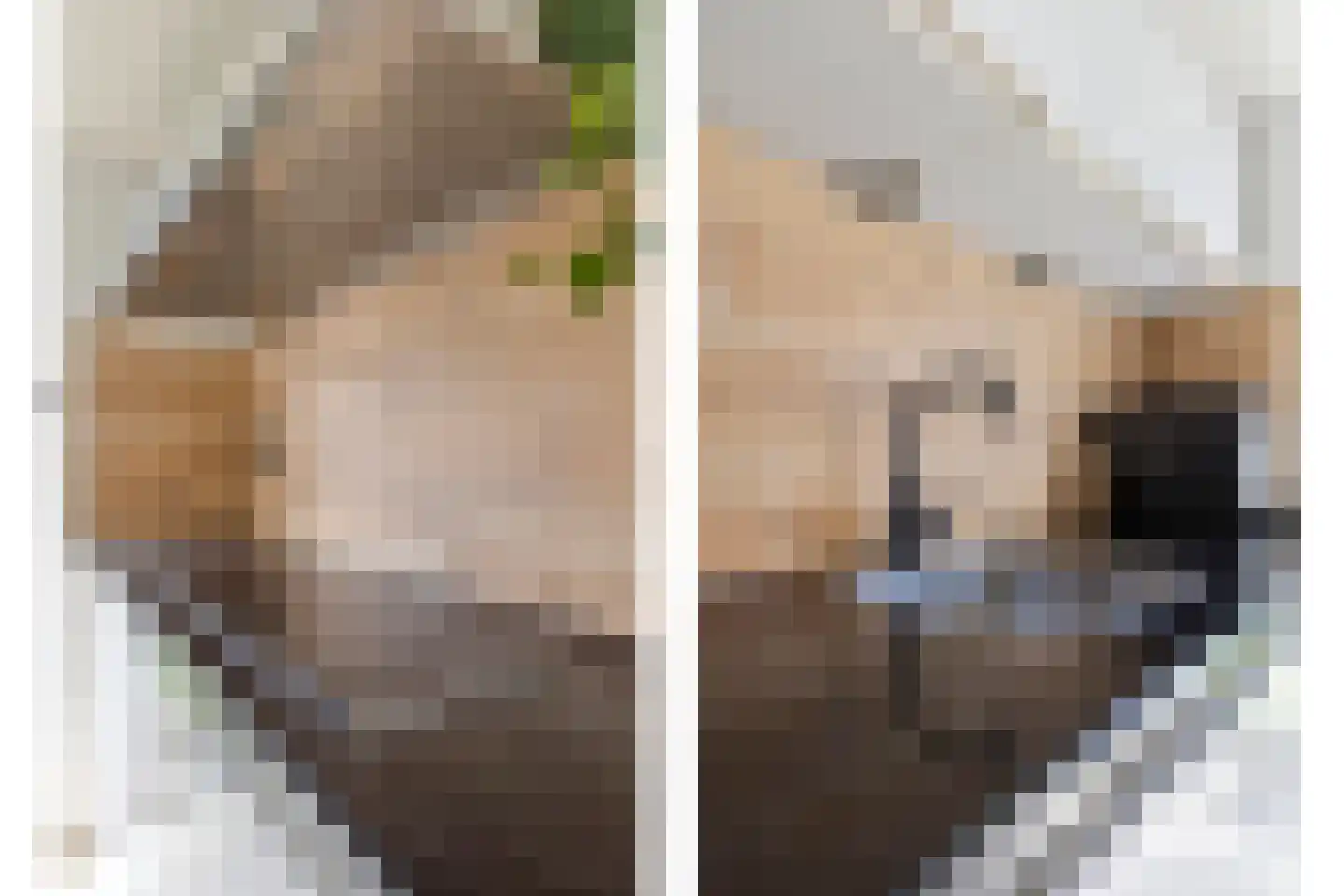 Krabbelaar 30 Sliedrecht thumbnail 10