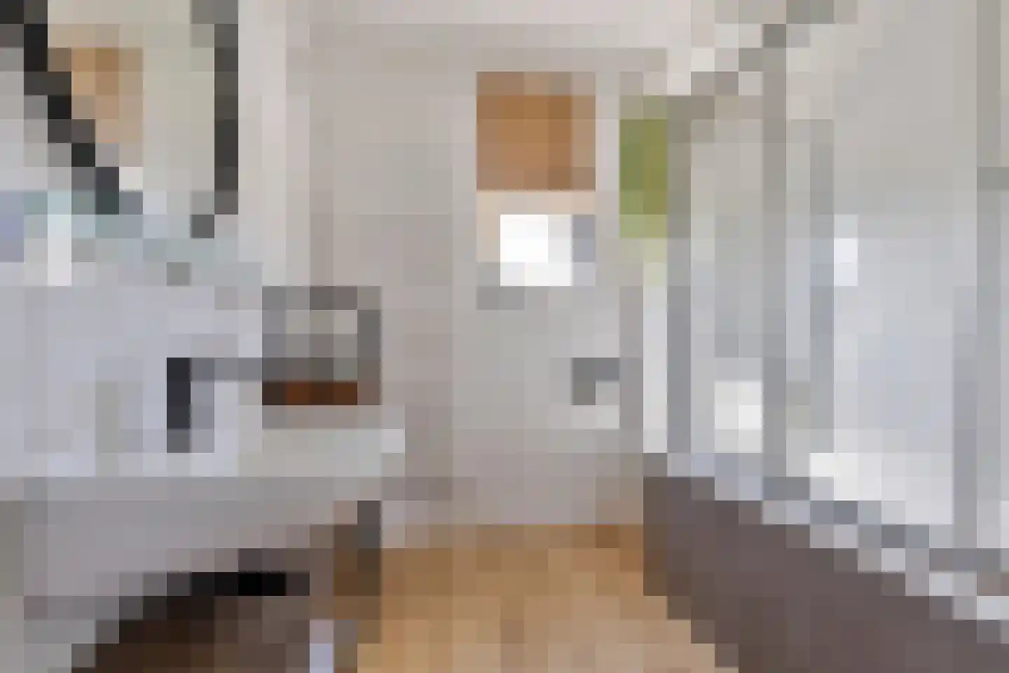 Krabbelaar 30 Sliedrecht thumbnail 20